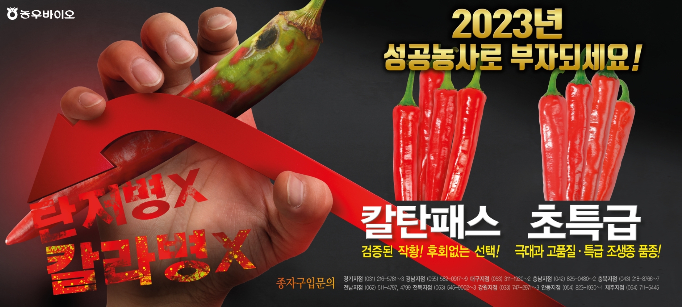 배너