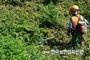 외국인근로자 임업현장 배치...1천 명 산림 현장 첫 도입