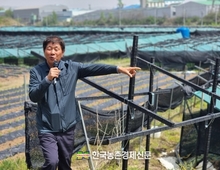 플라스틱 재활용 영농현장!...‘인삼 지주대’ 개발 호평속에 보급가격은 고민!