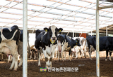 국산 우유 자급률 45.8...국산 원유생산량 '하락세'