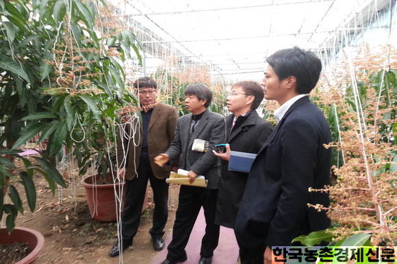 제주특별자치도농업기술원(원장 이상순)은 농업인들이 농업생산현장에서 겪는 애로사항들을 지원하기 위해 2009년부터 도 단위 광역컨설팅 팀을 운영하여 왔다. kenews.co.kr