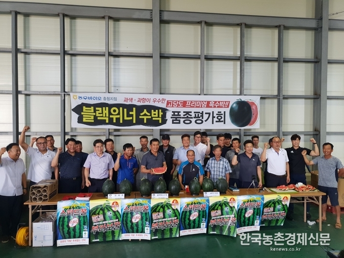 농우바이오(대표 최유현)는 7월 17일 충남 예산군 신암면 신암농협에서 블랙위너 수박 품평회를 갖고 금년 12월부터 기존 흑피계 수박 품종과 차별화되는 블랙위너 수박을 전국의 주요 수박 단지권을 중심으로 본격 공급한다. 나남길 kenews.co.kr