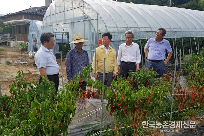 농협상호금융(대표이사 소성모)은 지난 6일 전라북도 임실군을 찾아 연일 이어지는 폭염에 지친 농업인을 위로하고, 피해현황을 점검하고 있다.이날 소성모 대표는 폭염으로 농작업에 어려움을 겪고 있는 고추농가 등을 방문하여 피해현황을 파악하는 한편, 농업인 피해가 최소화 할 수 있도록 농협의 모든 역량을 집중해나가겠다고 말했다. kenews.co.kr