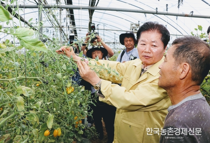 농협은 정부와 발맞춰 폭염피해 극복을 위한 긴급 대책을 마련하고 있는 가운데, 김병원 회장이 폭염에 시달리고 있는 농업현장을 둘러보며 농업인들을 격려하고 있다. kenews.co.kr