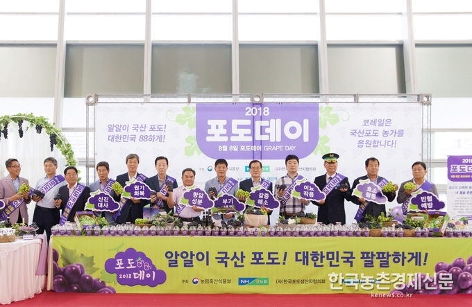 (사)한국포도생산자협의회 최정호 회장은 “농산물 소비감소와 수입과일 확산으로 여름철 대표 과일인 포도 생산농가가 어려움을 겪고 있다”면서, “이날 행사를 계기로, 국산 포도의 건강 기능성이 널리 알려서 입에도 달고 몸에도 좋은 여름보약, 우리 포도를 더욱 사랑해주셨으면 한다”고 밝혔다. 나하은 kenews.co.kr