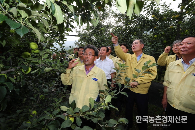 이개호 신임 농림축산식품부 장관은 10일 청와대에서 임명장을 받고, 곧바로 폭염에 시달리는 경남지역 과수농가와 피해 축산농가들 현장을 둘러보며 대책마련과 함께 농가들을 격려하고 있다. 이개호 장관 취임식은 다음주 13일(월) 10시로 예정돼 있다.<사진제공= 농림축산식품부 대변인실> 나남길 kenews.co.kr 