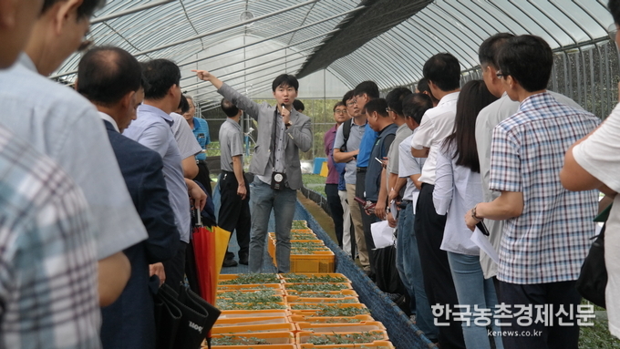 묘삼 생산시설 평가회
