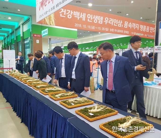 이날 식전행사로 올해 최고의 수삼을 선발하는 제15회 수삼품평회가 열렸다. 전국 11개 인삼농협 조합원은 6년 동안 각종 자연재해와 병해를 이겨내며 기른 햇수삼(총 52점)을 체형우수·대편·특이모형 3개 부문에 걸쳐 출품했다. 나남길 kenews.co.kr