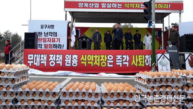 식약처의 '계란 안전성 강화대책'을 밀어 붙이려 하자, 양계인들 움직임이 심상치 않다. 양계인들은 식약처의 이같은 대책을 폐기하거나, 농가들 의견을 최대한 수렴된 상황까지 최소한 제도시행을 미뤄질 것을 요구하고 있다. 하지만, 이것도 녹녹치 않아 양계인들은 분통이 터질 지경이다. 급기야 전국에서 모여든 양계인 3천여명이 눈발이 휘몰아치는 엄동설한속에 12월 13일 오송에 위치한 식약처 앞에서 양계인 총 궐기대회를 열고 있다. 닭 먹이를 줘야하는데도 불구하고 생산현장을 뿌리치고 식약처 앞으로 뛰처나온 농민들 현장 목소리들을 직접 담아왔다. <오송= 나남길 kenews.co.kr>