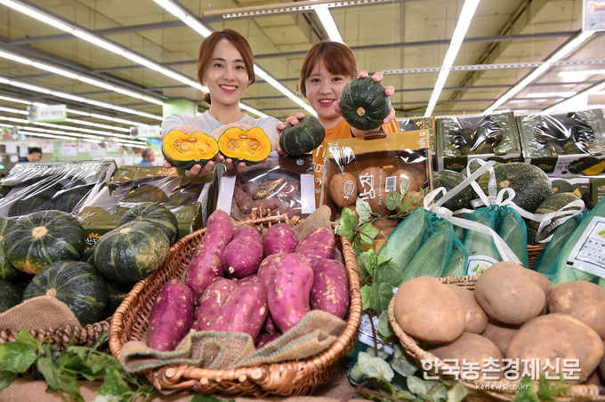 7일 서초구 하나로마트 양재점에서 모델들이 여름 제철 간식인 감자,밤고구마, 찰옥수수, 미니단호박을 선보이고 있다. 할인 행사는 8일~11일까지 이다.<사진= 농협유통> kenews.co.kr