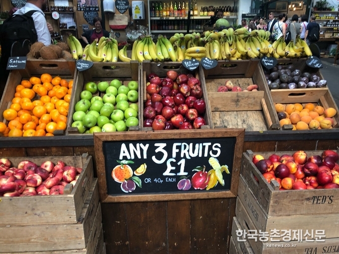 영국 런던 시내중심부에 위치하고 있는 마켓시장에도 여름철 과일들이 즐비한가운데, 각종 토마토와 다양한 체리와 베리류들이 소비자들 입맛을 부르고 있습니다. 사진= 런던특파원 나아름 기자 kenews.co.kr
