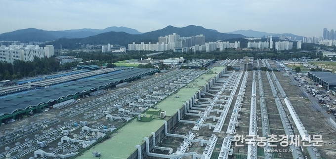 가락시장 시설현대화사업이 한창 진행중인 가락시장의 전경 모습이다. 촬영된 사진 우측으로 멀리 직판시장이 헐리고 시설현대화사업이 진행되고 있는 모습도 잡혀 있다. kenews.co.kr