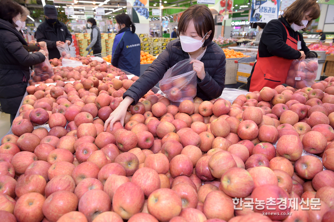 6일 서울 서초구 농협하나로마트 양재점에서 오는 3월 11일까지 사과를 전용봉투에 한 가득 담아 묶으면, 사과 한 봉지당 8,980원에 구매할 수 있다.<사진= 농협유통 kenews.co.kr>