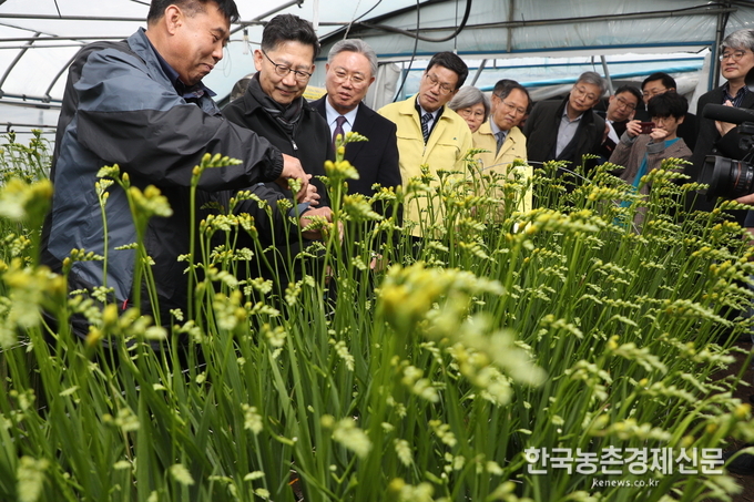코로나19 여파로 각종행사들이 줄줄이 취소되면서 꽃 소비가 극도로 위축되면서 화훼농가들이 큰 어려움을 겪고 있다. 사진은 김현수 농식품부 장관이 관계자들과 화훼농가들 농장현장을 둘러보며 어려움을 청취하고 있는 모습이다. kenews.co.kr
