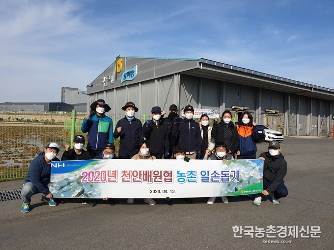 김재기 대표이사는 “고령화로 인한 인력부족 현상에 더하여 코로나19로 더욱 어려움을 겪고 있는 농업인의 근심을 조금이나마 덜어 드리고자 일손돕기를 실시했다”면서 “NH농협무역은 농산물 수출확대로 농업인의 소득안정에 최선을 다하겠다”고 밝혔다. 나아름 kenews.co.kr