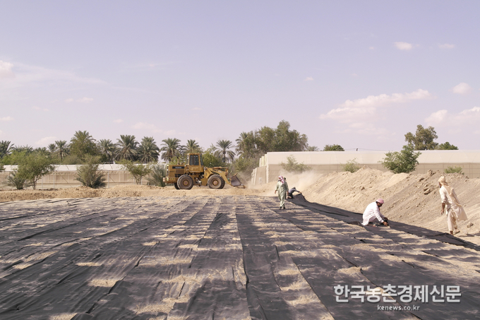 벼 실증재배 생산비는 약 565만원/ha(태국산 장립종 기준)으로, 바닷물을 제염처리하여 사용한 물의 비용(담수비용 약 2,000만원/ha)에 미치지 못해 경제성을 확보하지 못한 상황이다. 사진은 재배초기 방수포 설치작업 모습이다. kenews.co.kr