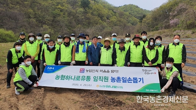 농협(회장 이성희)은 코로나19 장기화로 영농철 일손이 부족한 농가를 돕기 위해 29일 전국 곳곳을 찾아 일손돕기를 실시했다. 나아름 kenews.co.kr