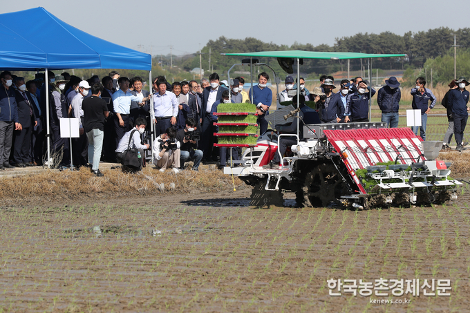6일 드문모심기 현장 시연 행사가 열린 전북 김제시 백산농협 포장 현장모습이다. <사진=농촌진흥청 kenews.co.kr>