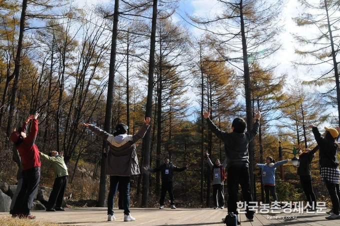 박종호 청장은 “심신 건강 증진과 면역력 향상에 도움이 되는 산림치유를 통해 코로나19 사태 극복에 앞장서 왔던 보건 당국자와 의료진 및 자원봉사자들을 지원하는 뜻깊은 일이 될 것이다.”라면서, “숲을 통해 그동안 위축되었던 국민의 정서를 돌보고 활력 재충전 및 면역력 향상에 도움이 되도록 노력하겠다.”라고 말했다. 나아름 kenews.co.kr