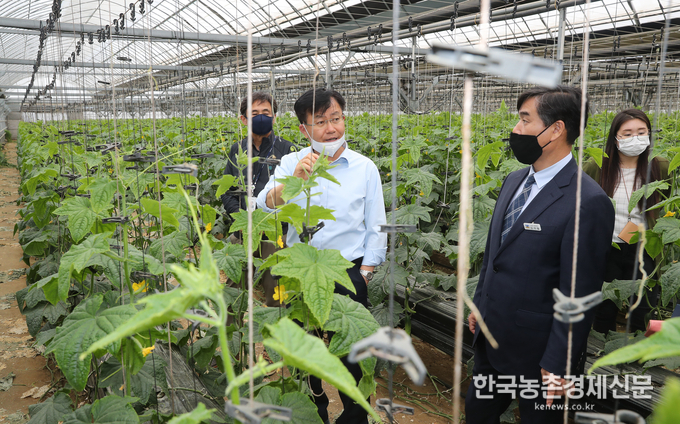 농촌진흥청은 스마트팜 재배품목을 확대하고 데이터 기반 농업기술을 통한 생산성 향상 방안을 모색하기 위해 농업현장을 방문, 의견을 수렴하고 있다. 사진= 농촌진흥청 kenews.co.kr