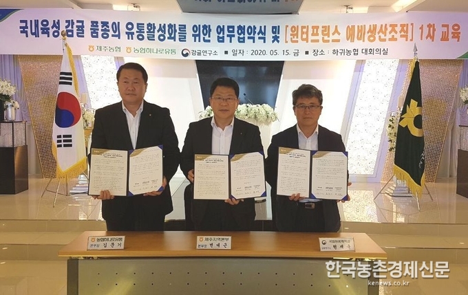 농협하나로유통 김병수 대표이사는 “이번 업무협약은 제주지역 감귤농가에게 도움이 되길 바라는 취지에서 실시하게 되었다”면서, “앞으로 관계기관이 긴밀하게 협조하여 신품종 감귤 유통을 활성화시키는데 앞장서겠다”고 전했다. 나아름 kenews.co.kr