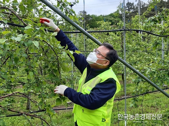 과수원 적화작업에 나선 양호진 안심축산분사장은 “이번 일손돕기는 코로나19로 인한 어려운 농촌인력 여건과 갑작스런 비로 인한 피해를 우려해 영농현장의 어려움을 함께 나누고자 마련됐다”며 “올 한해에도 일동면 기산리 자매결연마을과 수시로 소통하며 좋은 인연을 지속적으로 유지 발전시켜 나가겠다”고 말했다. kenews.co.kr