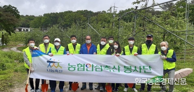 양호진 농협안심축산분사 임직원등은 지난 19일 경기도 포천시 소재 기산 1리 마을을 찾아 긴급 수로복구 및 마을 환경 정비, 과수원 퇴비 살포, 사과 적과작업에 일손을 돕고 기념사진을 찍고 있는 모습. kenews.co.kr
