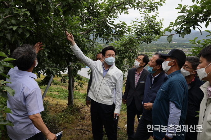 최근 이상기온으로 농가들 저온피해가 잇따르고 있다. 특히, 과수농가들 피해가 크다. 여기에 과수화상병 피해까지 나타나고 있다. 이재욱 차관을 비롯한 관계자들이 피해농가 현장을 둘러보고 있다. kenews.co.kr