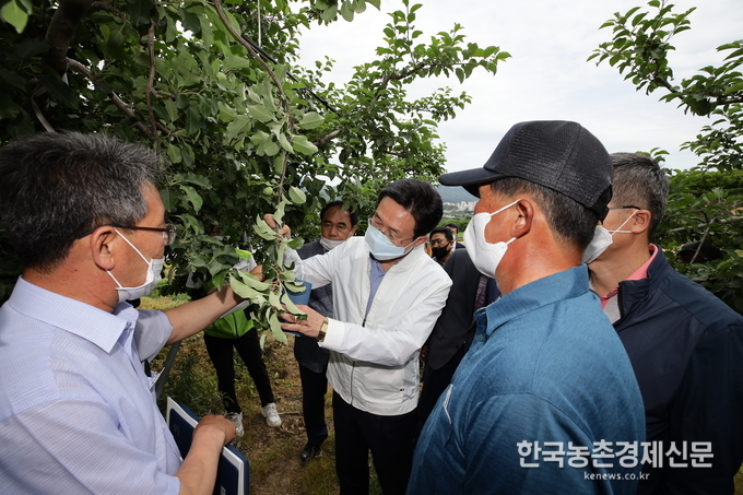 최근 이상기온으로 농가들 저온피해가 잇따르고 있다. 특히, 과수농가들 피해가 크다. 여기에 과수화상병 피해까지 나타나고 있다. 이재욱 차관을 비롯한 관계자들이 피해농가 현장을 둘러보고 있다. kenews.co.kr
