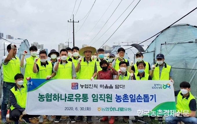 농협(회장 이성희) 하나로유통 직원들이 30일 경기 구리시 두레박농장을 찾아 영농철 일손이 부족한 농업인을 위한 일손돕기를 실시했다. 나하은 kenews.co.kr