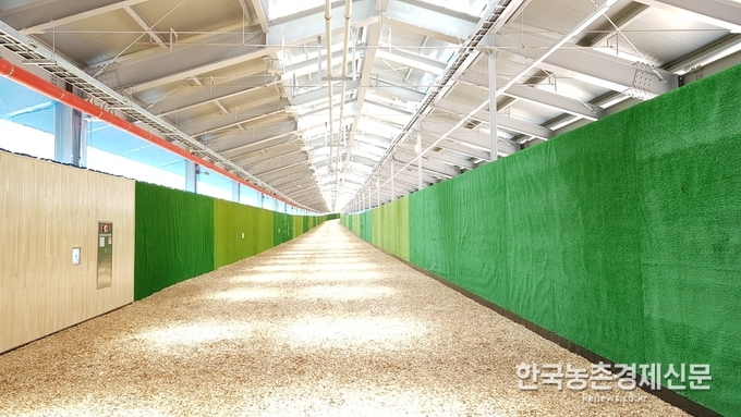 장수목장 실내 언덕주로 모습. kenews.co.kr