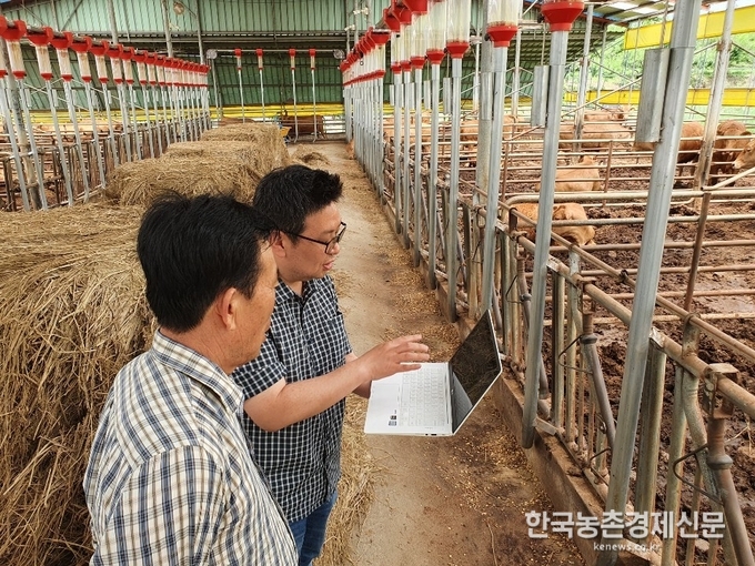 농협 축산컨설팅부 유기엽 부장은 “하반기 전국 축협 컨설턴트를 대상으로 본 프로그램을 활용한 컨설팅 기법 등을 교육하고, 경제지주에서 매년 실시하는 ‘한우농가 현장밀착 컨설팅 사업’ 대상농가에 대해 무료 경영진단을 실시할 계획”이라고 말했다. 나남길 kenews.co.kr