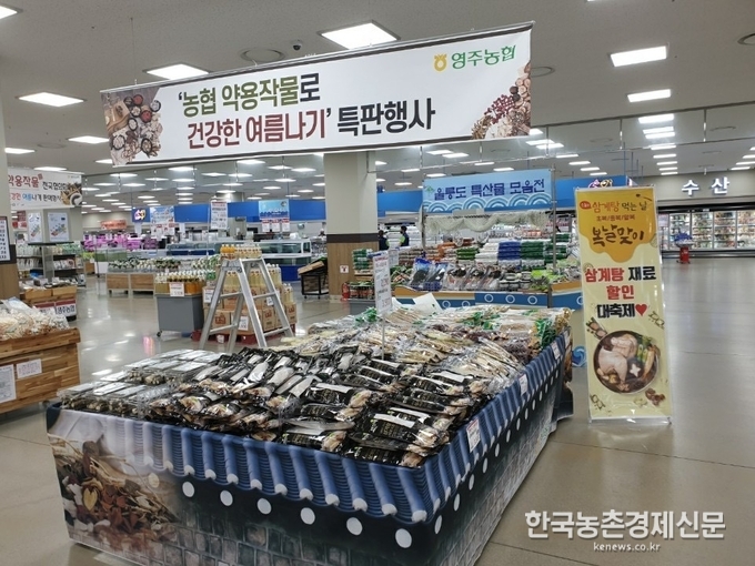 농협경제지주 장철훈 농업경제대표이사는 “국산 약용작물의 우수성을 널리 알리고 국민 건강을 책임진다는 생각으로 행사를 실시하게 되었다”면서, “앞으로도 우수한 고품질의 제철 약용작물을 지속적으로 공급하도록 최선을 다하겠다”고 말했다. 나남길 kenews.co.kr