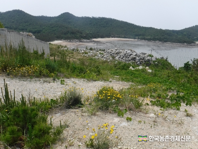 산림청 심상택 산림보호국장은 “도서 지역의 산림은 염해, 풍해, 가축 방목 등 훼손이 급격히 진행되고 있지만, 현재는 기초자료도 매우 부족한 실정이다”라면서 “이번 조사를 통해 도서·해안지역의 희귀·특산식물 및 산림경관을 복원할 수 있도록 체계를 정립해 가겠다”라고 말했다. 나아름 kenews.co.kr
