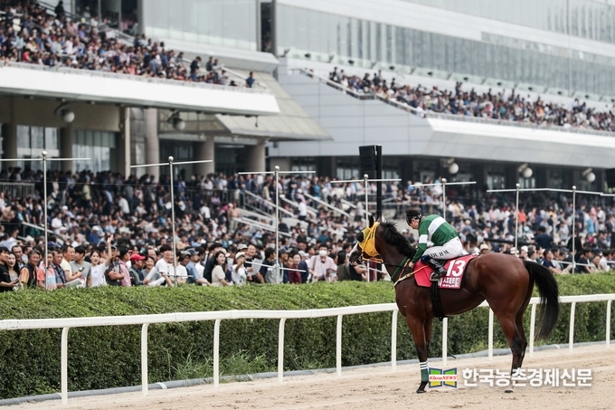 2019년 코리아 스프린트 우승, 관중에게 인사하는 블루치퍼와 유현명 기수