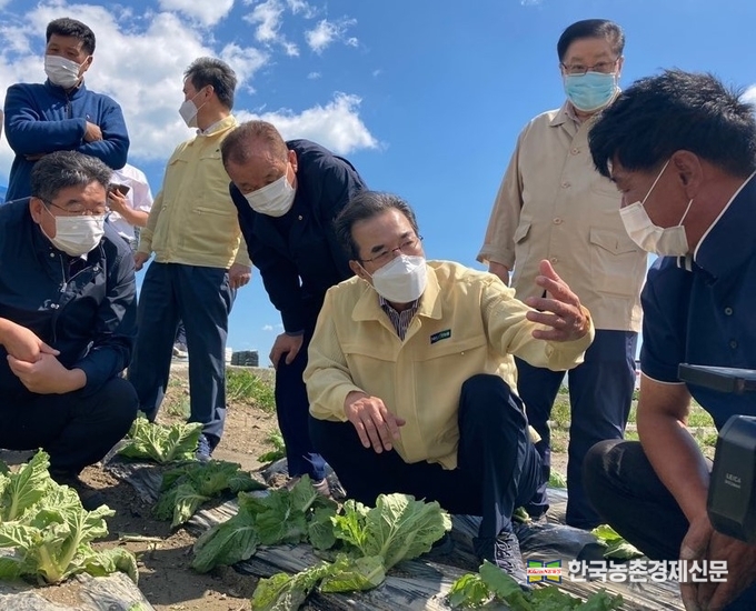 농축수산물에 대한 선물 상향선을 20만원까지 허용한 것과 관련해 농협과 축단협을 비롯한 한농연과 한우협회 등 농업관련 기관단체들이 일제 환영하는 내용을 발표했다. 사진은 농협중앙회 이성희 회장(가운데)이 9월 8일(화) 강원 강릉 지역의 태풍 피해농가들을 둘러보며 농작물 피해현황을 살펴보고 격려와 대책을 강구하고 있는 모습이다. <강릉= 나남길 kenews.co.kr>