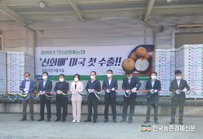 김재기 대표이사는 “저장성이 우수한 ‘신고’와 당도가 높은 ‘화산’ 품종을 접목한 ‘신화배’는 해외시장에서도 우수성을 인정받을 것이라 확신한다”면서, “해외 네트워크를 활용한 선제적 수출로 배 재배농가 소득제고에 최선을 다하겠다”고 말했다. 나아름 kenews.co.kr