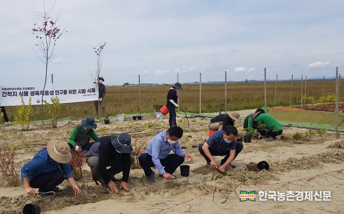 산림청과 한국수목원관리원은 새만금수목원에 식재되는 식물 선정, 다량 증식뿐만 아니라 식물이 잘 생장할 수 있는 환경 즉, 바람과 염분 피해를 예방할 수 있는 방풍림, 생육기반 조성 연구도 함께 진행 중이다. 연구 결과는 해안 식물 수목원인 새만금수목원 시공 단계에 반영될 예정이다. 박시경 kenews.co.kr