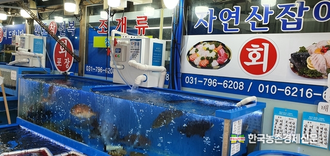 사진은 수도권 수산시장 수족관모습으로. 본 기사와는 관련없음. kenews.co.kr