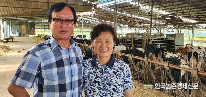 지난 1985년 젖소 송아지 5마리로 ‘장구산목장’을 일궈온 김제욱씨(77세)와 박인순씨(73세) 부부가 시골정담을 담은채로 목장을 찾은 기자들을 반갑게 맞이해 줬다. kenews.co.kr