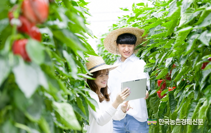 국립한국농수산대학은 9월 23일부터 20일간 진행된 2021학년도 수시모집 특별전형(농수산인재, 도시인재) 원서접수 결과 213명 모집에 951명이 지원해 4.46:1의 경쟁률을 보였다고 밝혔다. kenews.co.kr