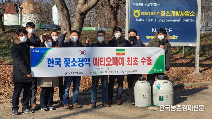  농협 경제지주는 지난 7일 사상 처음으로 동아프리카 에티오피아에 한국산 젖소인공수정용 정액 3천개(0.5ml/개) 수출을 완료했다고 밝혔다. 농협 젖소개량사업소 직원들이 에티오피아 수출을 기념, 사진촬영을 하고 있다. 나남길 kenews.co.kr
