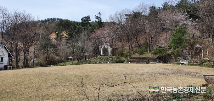 박수주씨는 경기도 양평에 아담하게 자리잡은 농장에서 문학활동과함께 도자기굽기, 체험활동 등 다양한 활동들을 펼쳐 오고 있다. kenews.co.kr