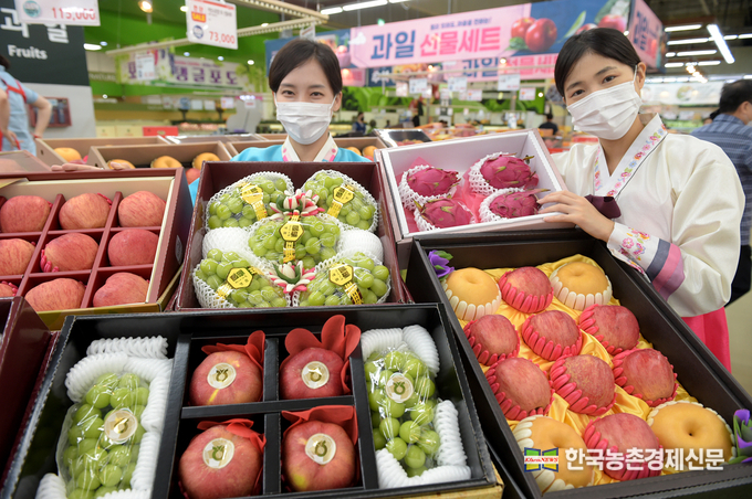 9월 07일 농협 하나로마트 양재점(서울 서초구 소재)에서 추석을 맞아 고품질 우리 과일 선물세트를 소개하고 있다. kenews.co.kr