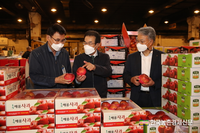 이성희 농협중앙회장(가운데)이 8일 가락동 농수산물도매시장 내 농협가락공판장을 방문하여 추석 명절 성수품의 수급상황과 가격동향을 점검하고 있다. 나남길 kenews.co.kr