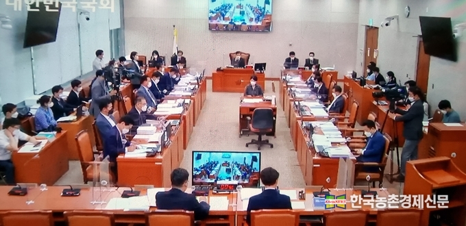 지난 10월 1일부터 국회 각 해당 상임위별로 국정감사가 시작됐다. 농해수위(위원장 김태흠) 국감은 5일 농식품부를 시작으로 12일 산림청, 14일 농진청, 15일 농협, 20일 농식품부 종합국감 순으로 감사가 진행된다. 사진은 10월 5일 국회에서 진행된 농식품부 농해수위 국정감사모습이다. <국회의사중계촬영 kenews.co.kr>