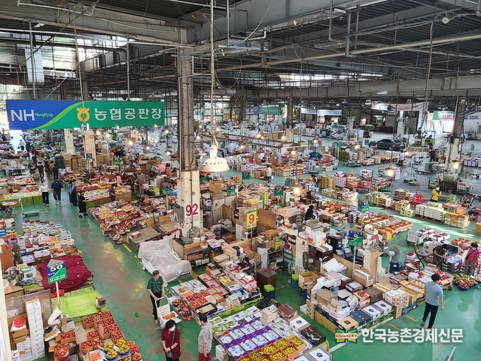 농협(회장 이성희) 경제지주는 농림축산식품부 주관 2020년도 농산물도매시장 운영실적 평가에서 농협 반여공판장이 최우수(1위) 기관으로, 농협 대전공판장이 3개년(‵18년~‵20년) 연속 우수 기관으로 선정되었다. kenews.co.kr