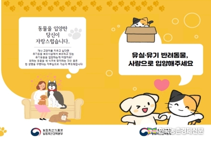 '유기동물' 입양 활성화 캠페인 눈길