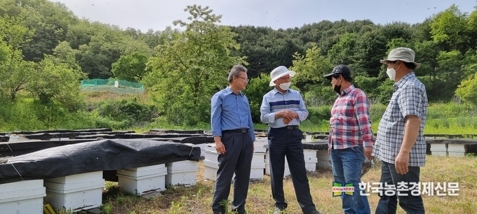 사진은 한국양봉협회(회장 윤화현)와 농진청 양봉전문가들이 현장 작황조사를 하고 있는 자료사진이다. kenews.co.kr