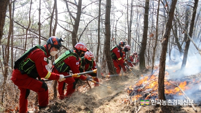 야간 불씨 탐지를 위해 산림청 헬기 12대와 열화상 드론 2대를 현장 배치하여 산불이 재발화 되지 않도록 잔불·뒷불정리에 빈틈없이 준비할 것이며, 산림청에서 산불발생 원인과 정확한 피해면적은 조사 감식반을 급히 파견하여 조사할 계획이다. kenews.co.kr